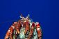 Hermit Crab